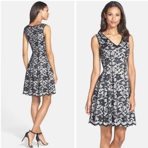 Betsey Johnson Lace Fit and Flare Dress
